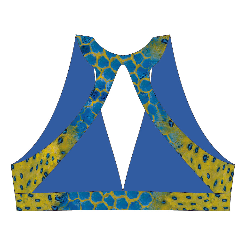 Boxfish Triangle Back Bikini Top | Recycled Plastic Swimwear – SeaMorgens