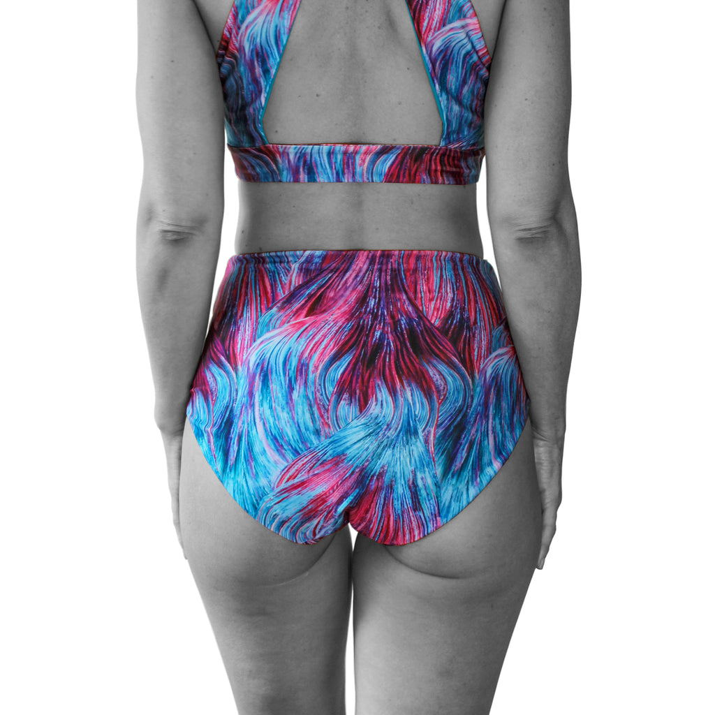 Fighter Fish High Waist Bikini Bottoms