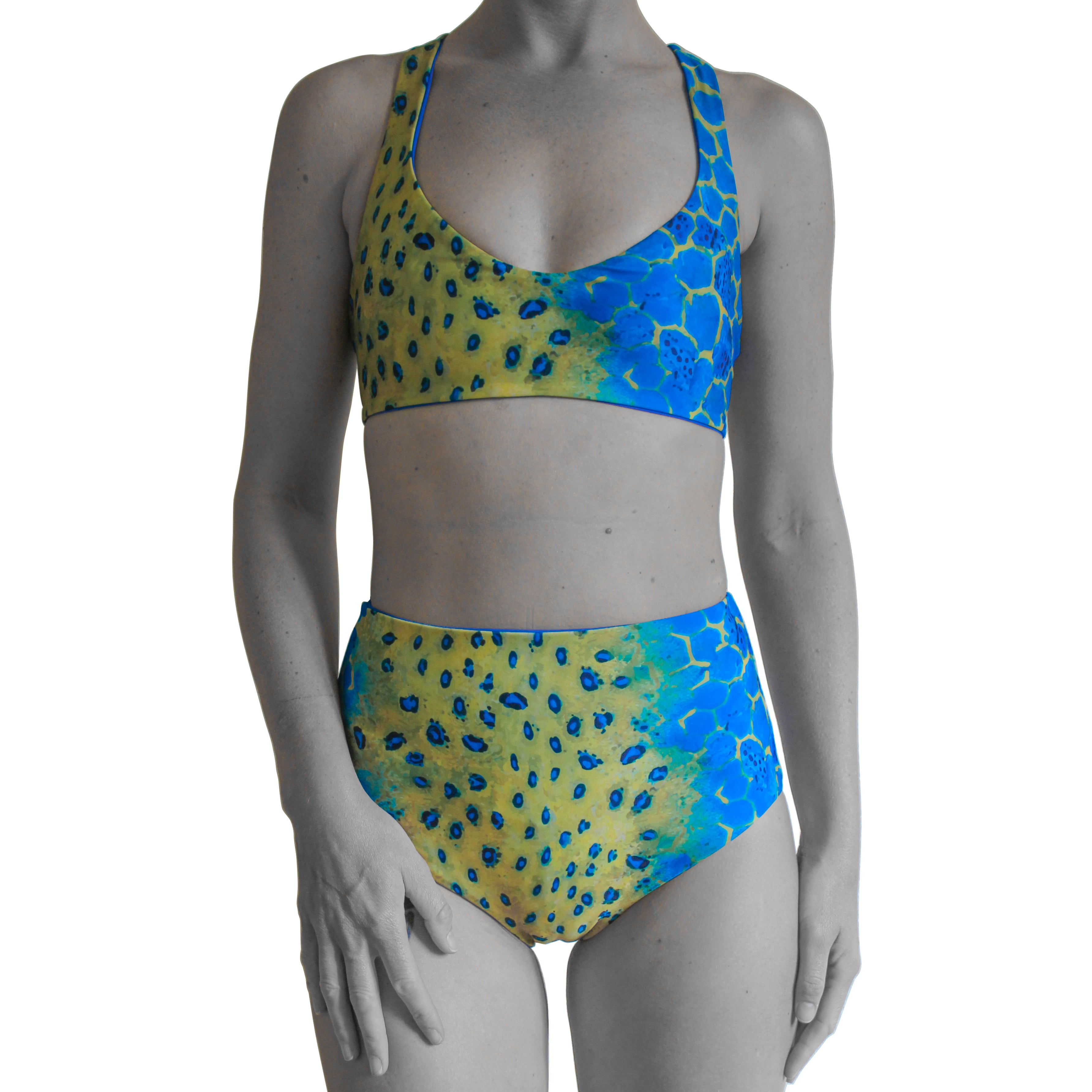 Boxfish print sustainable bikini top