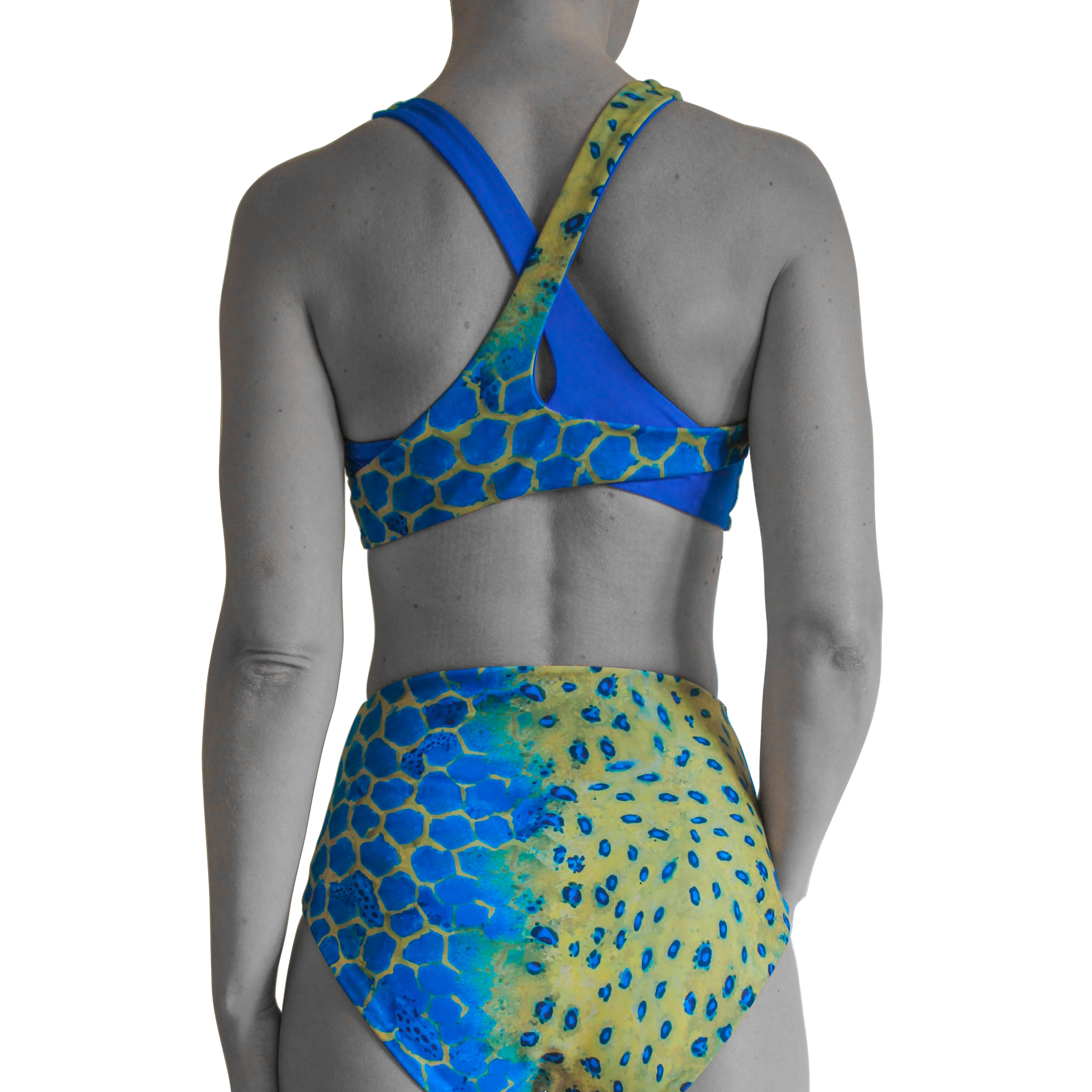 Boxfish print sustainable bikini top